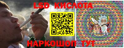 прущие грибы Апшеронск