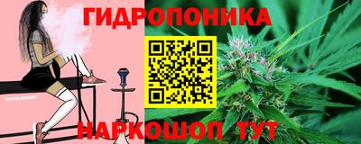 прущие грибы Апшеронск