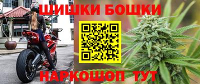 прущие грибы Апшеронск