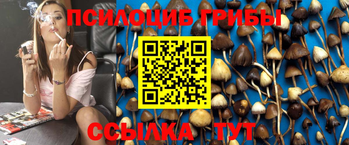 Псилоцибиновые грибы GOLDEN TEACHER Борисоглебск