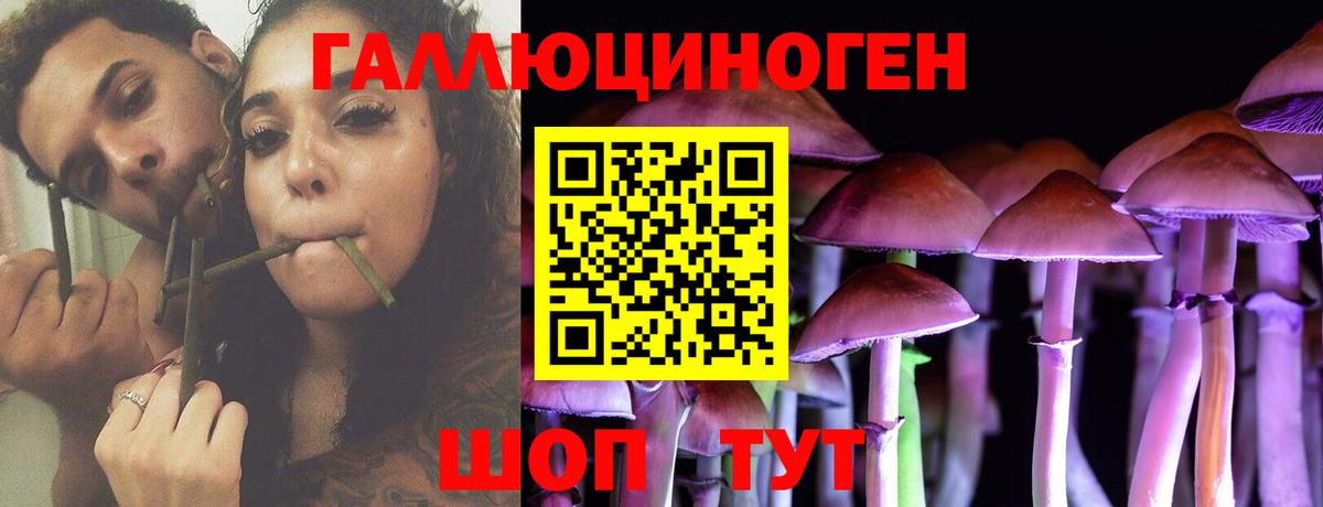 Галлюциногенные грибы MAGIC MUSHROOMS  Вход с VPN  Борисоглебск 